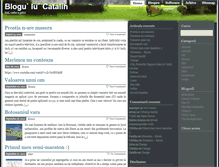 Tablet Screenshot of catalin.macsim.ro